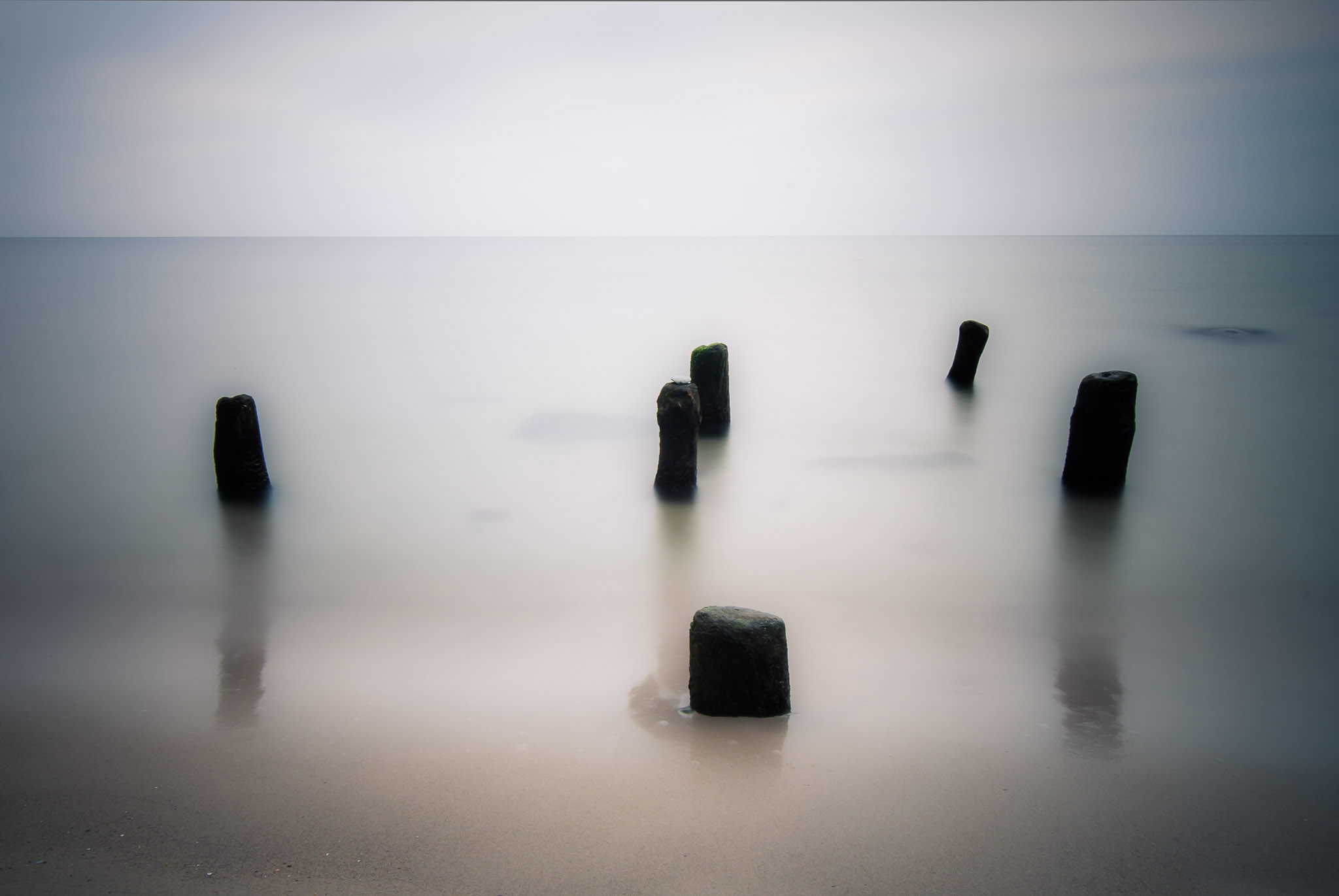 Zen