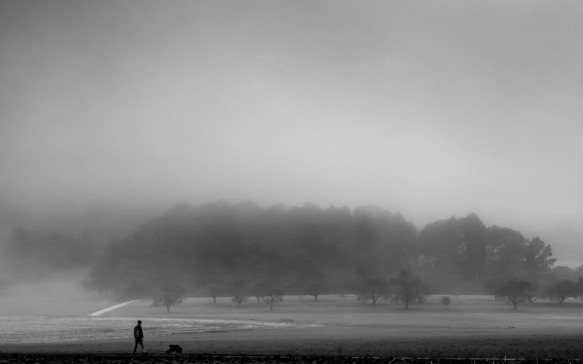 The Morning Walk